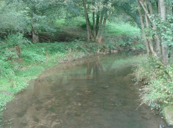 Tour Zu Fuß Schneeberg - Rundwanderweg Schneeberg Morretal 1: Scheerer-Weg - Photo