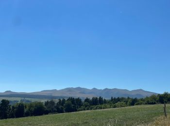 Excursión Bici de montaña Chambon-sur-Lac - Lac Chambon , Saigne et Beaune le Froid  - Photo