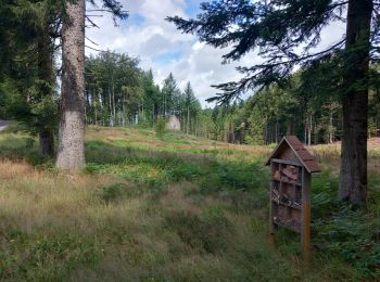 Trail Walking Raon-aux-Bois - raon aux bois anniversaire Président  - Photo