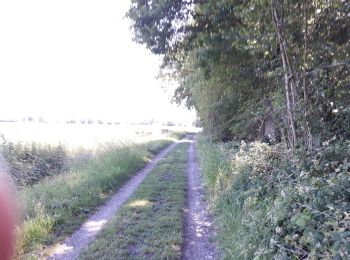 Percorso Bici da strada Kampenhout - 2020.06.13.V.t'Sas - Photo