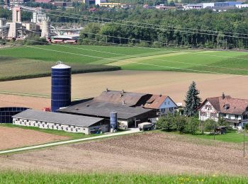 Randonnée A pied Stadel - Windlach - Zweidlen - Photo