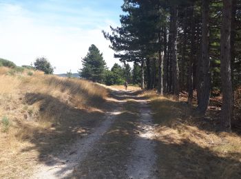 Trail Walking Malarce-sur-la-Thines - thines  - Photo