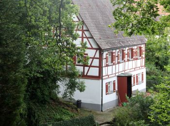Tocht Te voet Kirchensittenbach - Vorra Bhf. – Kleedorf - Photo
