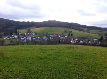 Tocht Te voet Fränkisch-Crumbach - Rundwanderweg Sparkasse-Odenwaldkreis S2 : Burg Rodenstein-Runde - Photo