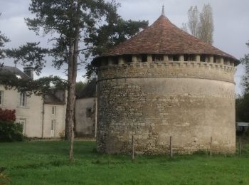 Tour Wandern Saint-Martin-la-Pallu - cheneché - Photo