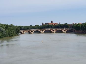 Randonnée V.T.C. Roquettes - Roquettes  à  Toulouse - prairie des filtres  - Photo