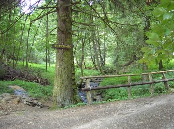 Trail On foot Simmerath - Eifelverein - Weg 54 - Photo