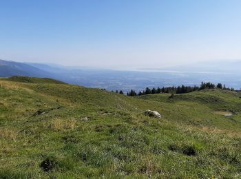 Tour Wandern Chézery-Forens - Cret de la Goutte 13.5 km D+650 m 20210811 - Photo