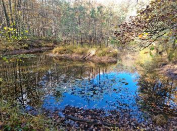 Percorso Marcia Vendôme - Promenade dans la forêt de Vendôme  - Photo