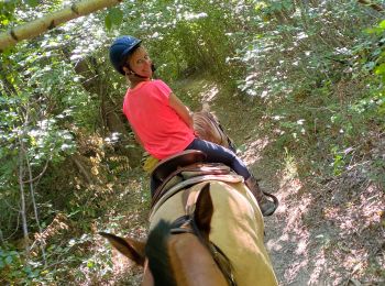 Trail Horseback riding Pisieu - Pisieu 2  - Photo