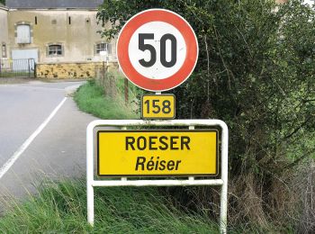 Randonnée A pied Roeser - Roeser Spazeierwee - Photo