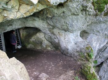 Tour Zu Fuß Bad Urach - Wittlingen-Bad Urach - Photo