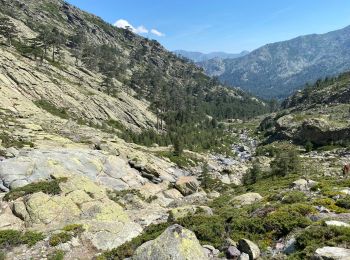 Trail Walking Asco - Asco la bergerie de vallonne - Photo