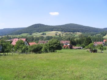 Excursión A pie Sinntal - Oberzell - Rundwanderweg Hemmersbach - Photo