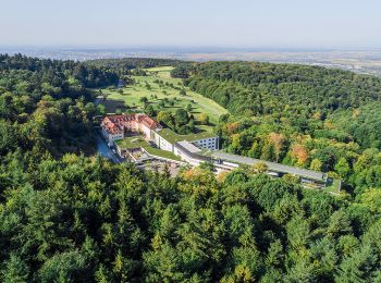 Percorso A piedi Sconosciuto - Wanderweg Königstuhl 7 - Photo