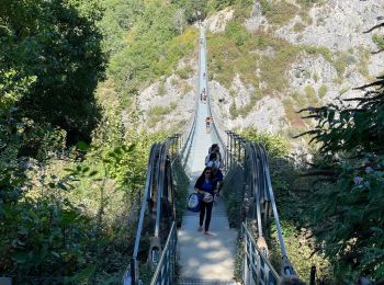 Trail Walking Treffort - Passerelles Monteynard  - Photo