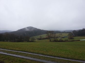Trail On foot Niedenstein - Niedenstein, N3 - Sengelsberg - Photo