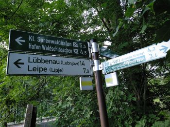 Randonnée A pied Lübbenau/Spreewald - Wanderweg Lübbenau-Leipe-Burg Kolonie - Photo