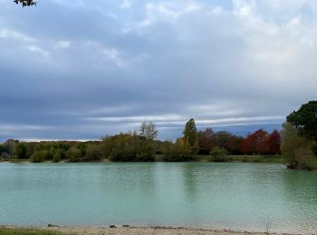 Percorso Marcia Canéjan - Le lac vert - canejan  - Photo