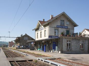 Tocht Te voet Brütten - Rundweg Winterthur - Photo