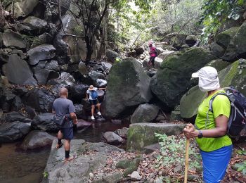 Tour Wandern Pointe-Noire - rivière caillou par varin - Photo