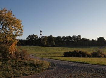 Tocht Te voet Onbekend - Göschwitz-Trießnitz-Sommerlinde-Drackendorf - Photo