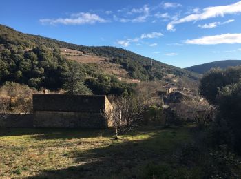 Trail Walking Saint-Jean-de-Minervois - Saint-Martial - Les Conquets - Photo