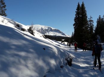 Excursión Esquí de fondo Saint-Agnan-en-Vercors - vercors 12 02 20 - Photo