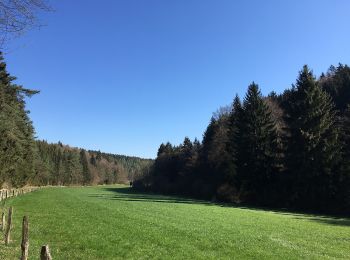 Trail On foot Blankenheim - Eifelschleife Wo Bäche verschwinden - Photo
