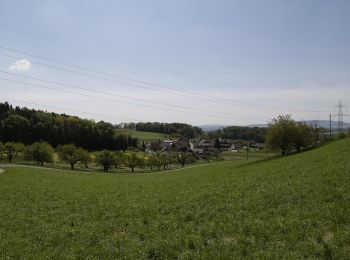 Randonnée A pied Embrach - Embrach Oberdorf - Tössegg Schiffsteg - Photo