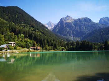 Tour Wandern Le Haut-Bréda - 20220823 Fond de France - Photo