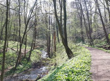 Trail Walking Huy - Ruisseau de Solieres - HUY - Photo