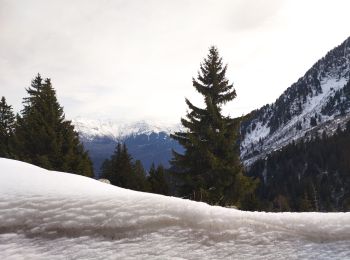 Tocht Ski randonnée Saint-Rémy-de-Maurienne - la grande Moutonnière - Photo