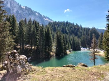 Tour Wandern Vacheresse - Ubine, col d'Ubine, col des Mosses, chalets de Bise, lac de Fontaine - Photo