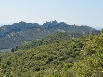 Tour Wandern Gigondas - Les Florets Lencieux Pas de l'Aigle - Photo