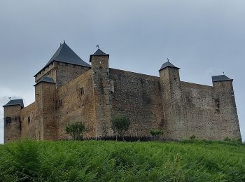 Randonnée Marche Bonnemazon - 20240622 Lescadieu - Photo