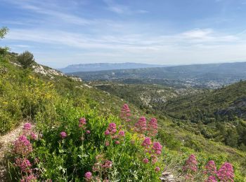 Trail Walking Roquevaire -  13 ROQUEVAIRE Col et Mont des Marseillais - Photo