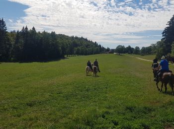 Trail Horseback riding Longchaumois - rando Jura 2020 route j3 - Photo