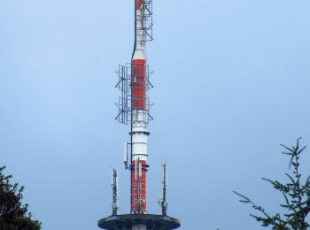 Randonnée A pied  - DE-gelber Balken - Photo