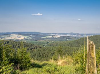 Trail On foot Horn-Bad Meinberg - Rundwanderweg A5 [Horn] - Photo