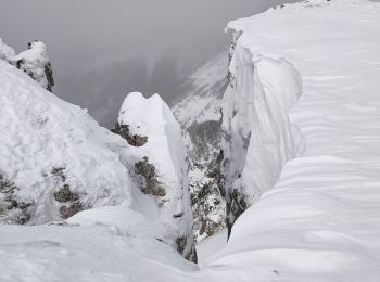 Randonnée Raquettes à neige Bouvante - fond'hurle - Photo