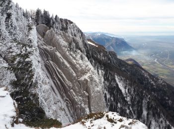 Tour Schneeschuhwandern Autrans-Méaudre en Vercors - Bec de l'orient en circuit - Photo