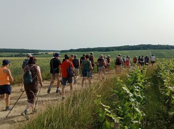 Tour Wandern Essômes-sur-Marne - Crogis ADR du 18-06-2022 - Photo