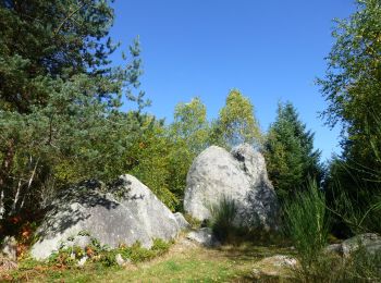 Randonnée A pied Fournols - fournols les pierres folles - Photo
