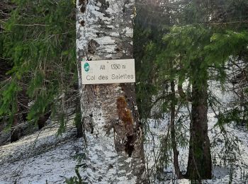 Trail Snowshoes Bellecombe - les 3 Cheminées - Photo