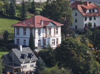 Tour Zu Fuß Frankenblick - Rundwanderweg Theuern 5 - Photo