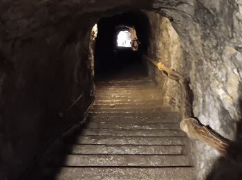 Tour Andere Aktivitäten Dinant - grotte la merveilleuse  - Photo
