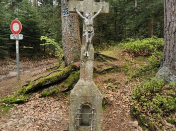 Tour Wandern Sankt Kreuz im Lebertal - boucle col haut de Ribeauvillé - taennchel sentier des roches  - Photo