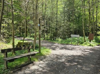 Randonnée Marche Bièvre - Promenade de la Roche Mouselle - Petit-Fays - Photo