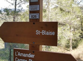 Trail Walking Saint-Blaise - St Blaise - Mont Inarte - Mont Cima  - Photo